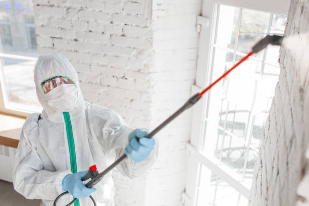 Biohazard Mold Removal in Columbia, SC