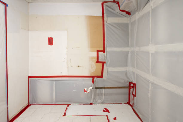 Best Emergency Mold Remediation  in Columbia, SC